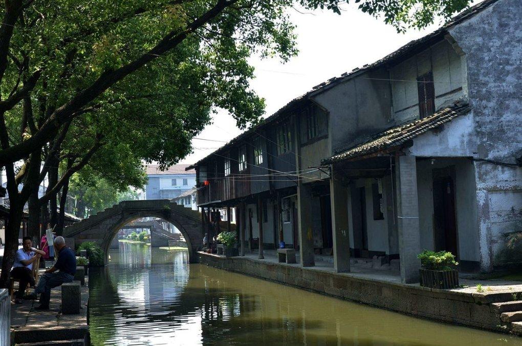 僵尸跳跳跳